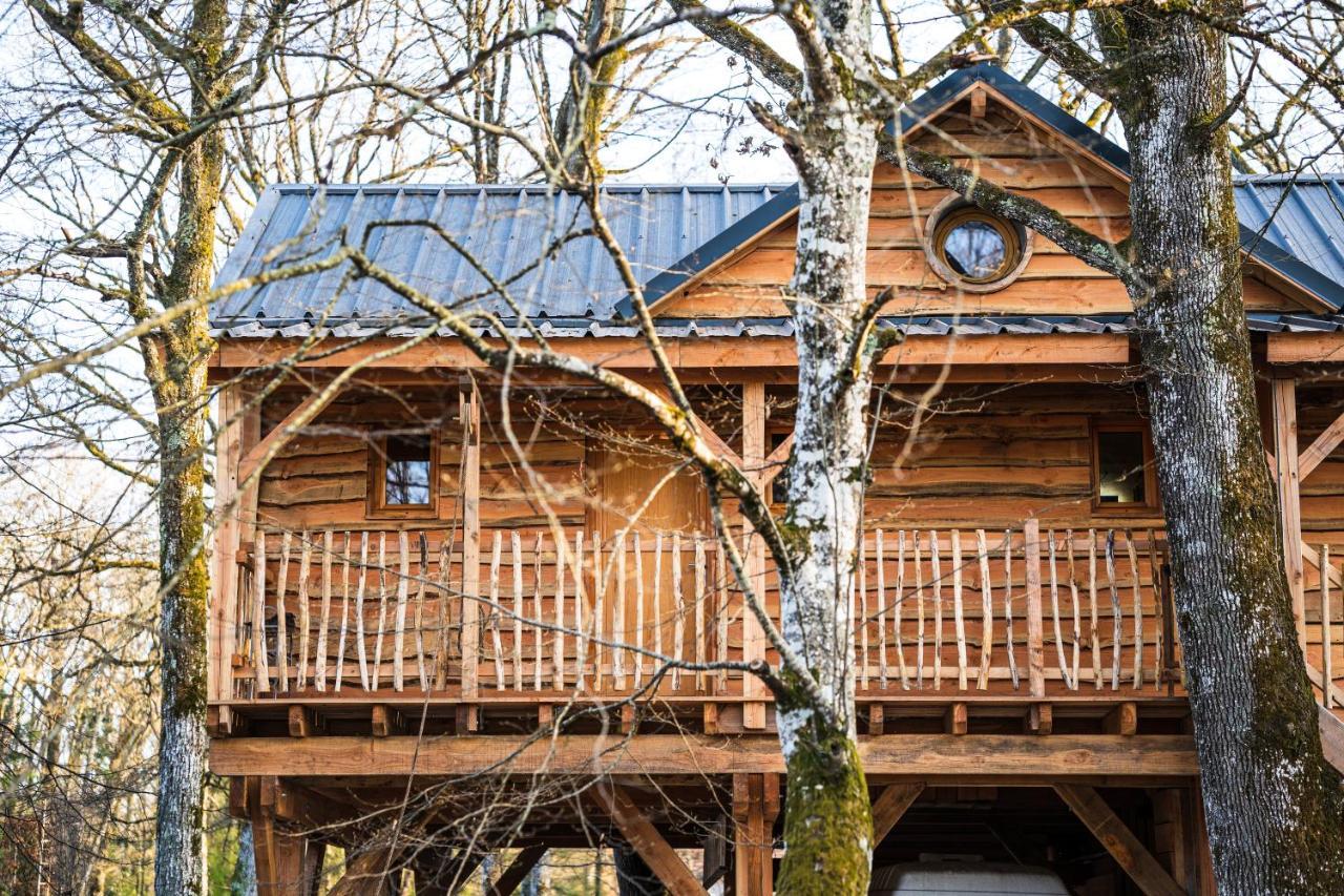 Charmante Cabane Dans Les Arbres Avec Jacuzzi Et Sauna Boismorand Exteriör bild