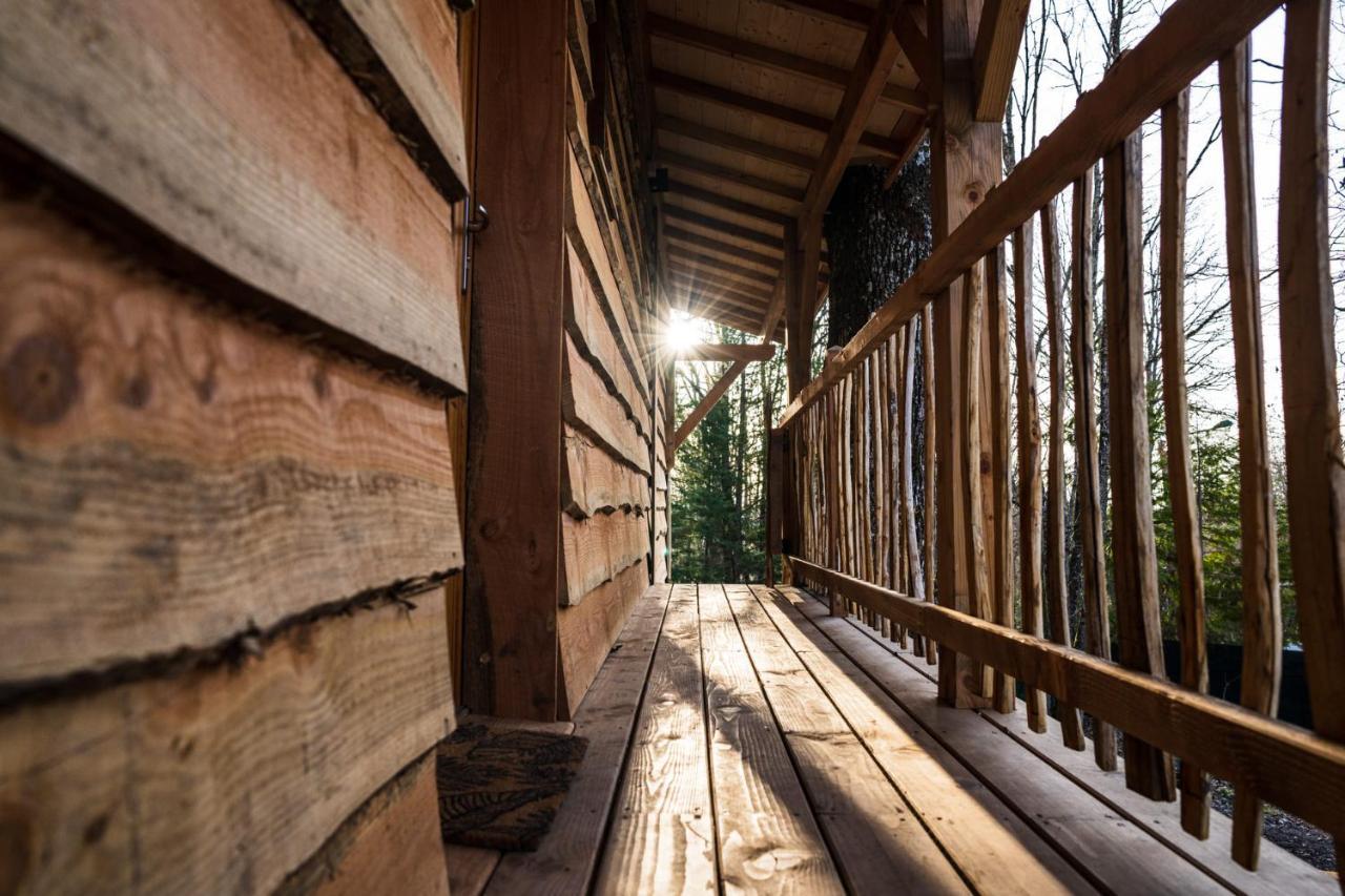 Charmante Cabane Dans Les Arbres Avec Jacuzzi Et Sauna Boismorand Exteriör bild