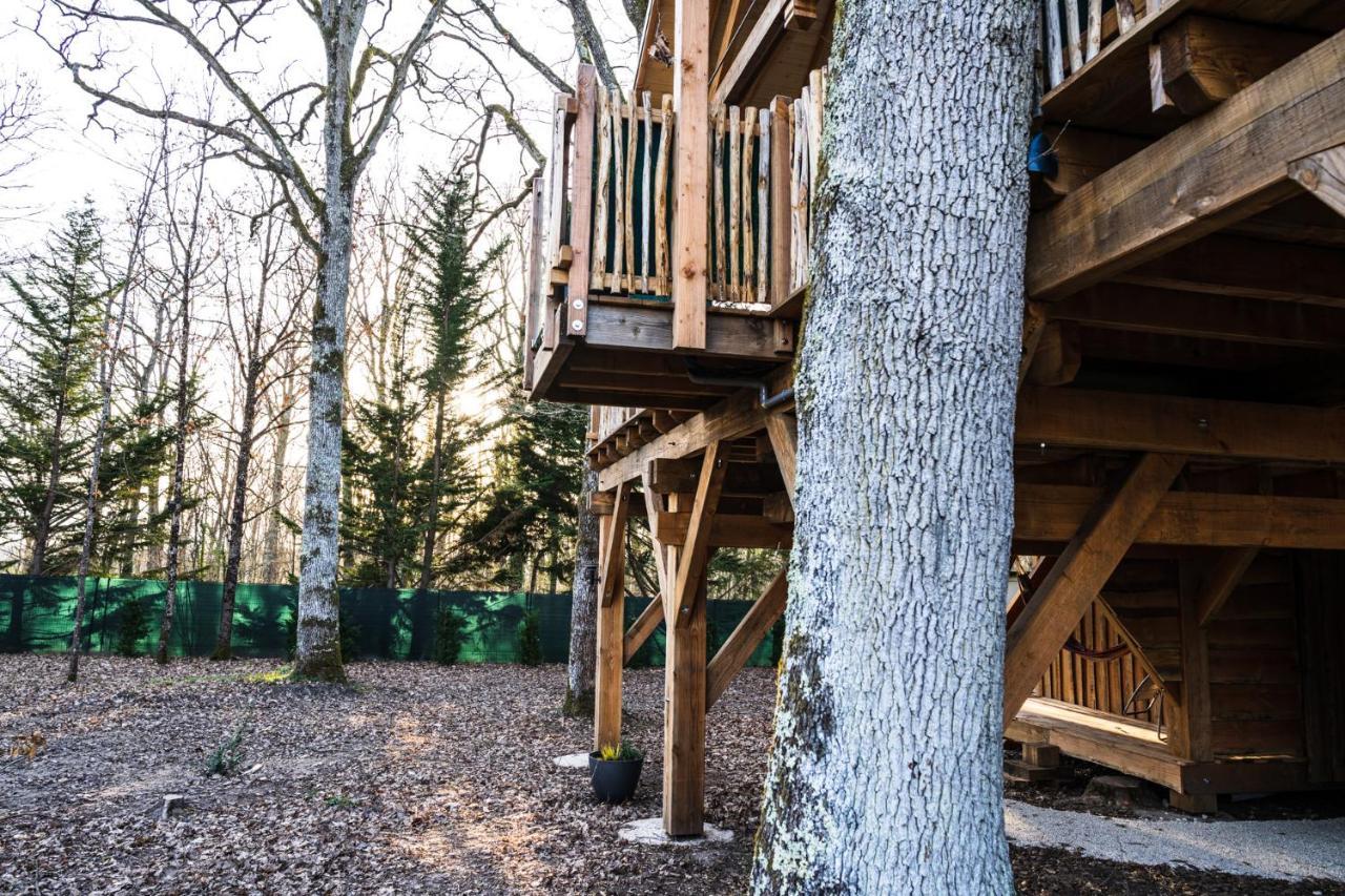 Charmante Cabane Dans Les Arbres Avec Jacuzzi Et Sauna Boismorand Exteriör bild
