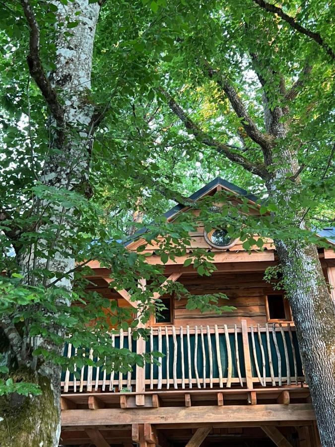 Charmante Cabane Dans Les Arbres Avec Jacuzzi Et Sauna Boismorand Exteriör bild