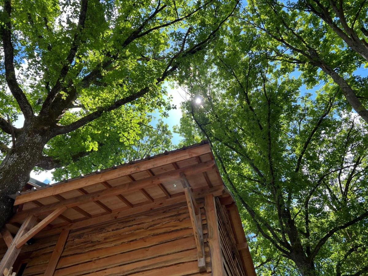 Charmante Cabane Dans Les Arbres Avec Jacuzzi Et Sauna Boismorand Exteriör bild