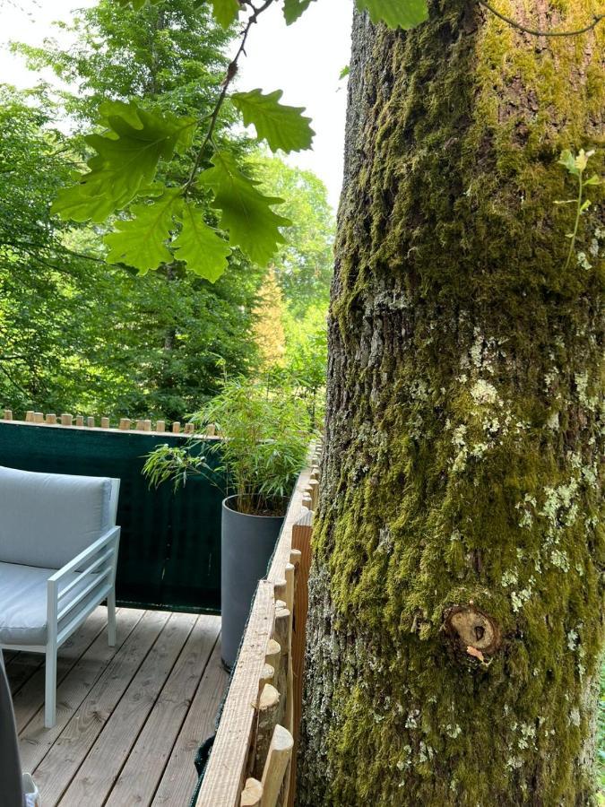 Charmante Cabane Dans Les Arbres Avec Jacuzzi Et Sauna Boismorand Exteriör bild
