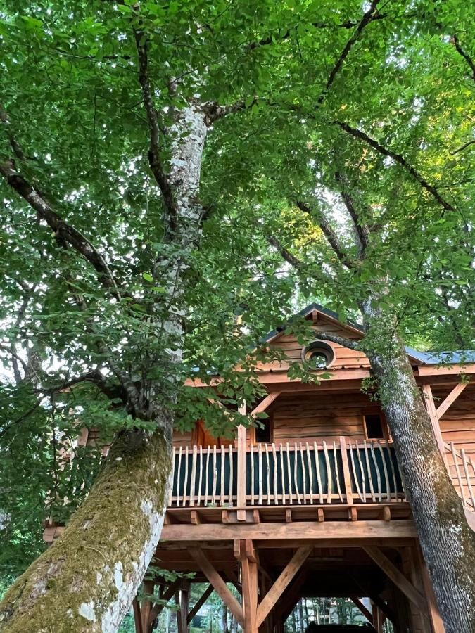 Charmante Cabane Dans Les Arbres Avec Jacuzzi Et Sauna Boismorand Exteriör bild