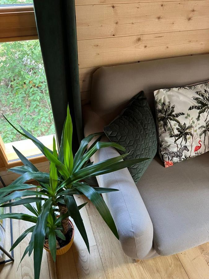 Charmante Cabane Dans Les Arbres Avec Jacuzzi Et Sauna Boismorand Exteriör bild